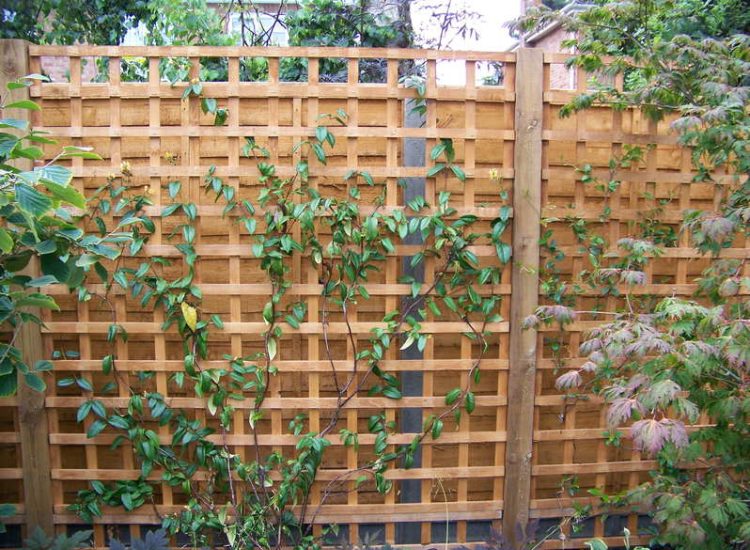 Garden Fencing - MDB Landscapes