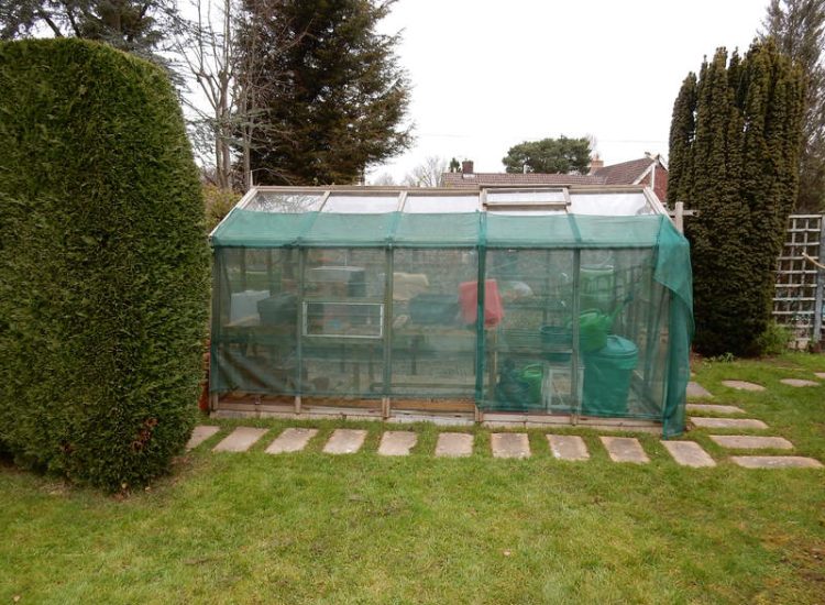 Garden Clearance in Little Bookham, Leatherhead, Surrey - Major clearance of mature trees, shrubs with roots extracted, ponds cleared and filled prior to other works. Garden clearance for Surrey and Hampshire - MDB Landscapes