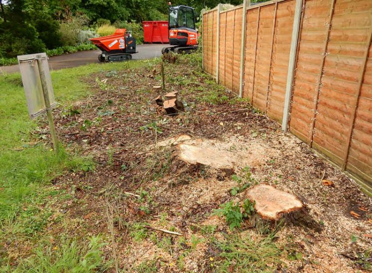 Garden Clearance in Little Bookham, Leatherhead, Surrey - Major clearance of mature trees, shrubs with roots extracted, ponds cleared and filled prior to other works. Garden clearance for Surrey and Hampshire - MDB Landscapes