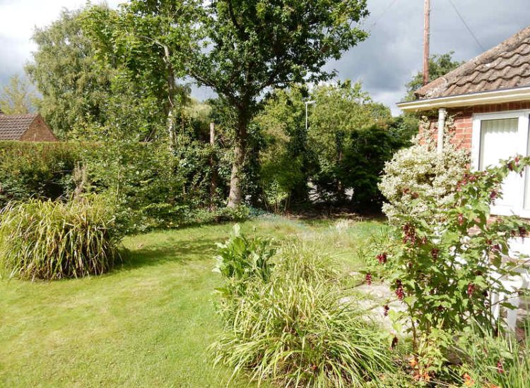 Garden Clearance in Fleet, Hampshire - Total clearance of both rear and front gardens of mature trees and shrubs. Trees felled with roots extracted. Garden clearance for Surrey and Hampshire - MDB Landscapes