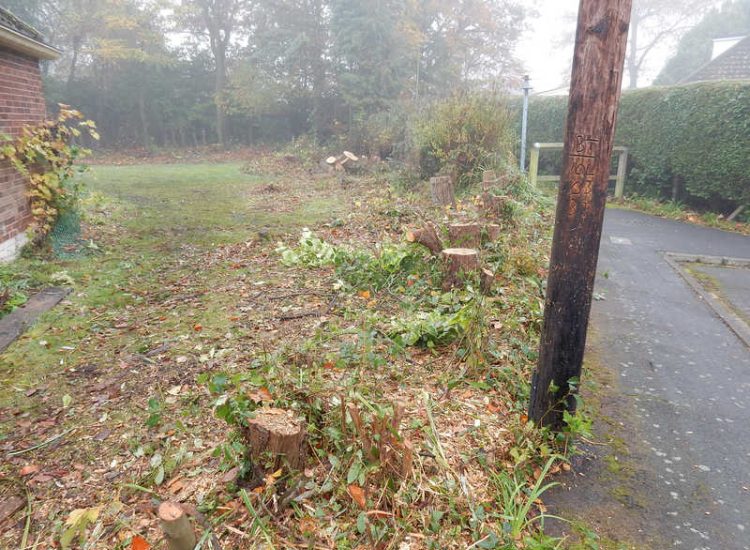 Garden Clearance in Fleet, Hampshire - Total clearance of both rear and front gardens of mature trees and shrubs. Trees felled with roots extracted. Garden clearance for Surrey and Hampshire - MDB Landscapes