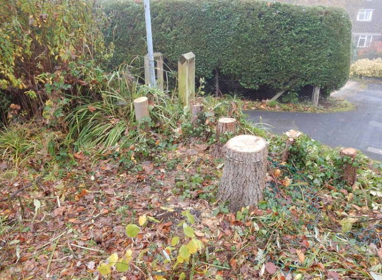 Garden Clearance in Fleet, Hampshire - Total clearance of both rear and front gardens of mature trees and shrubs. Trees felled with roots extracted. Garden clearance for Surrey and Hampshire - MDB Landscapes