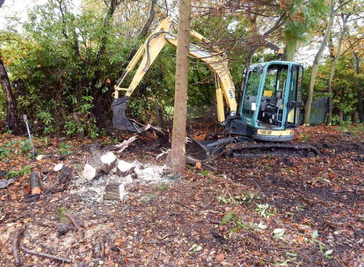 Garden Clearance in Fleet, Hampshire - Total clearance of both rear and front gardens of mature trees and shrubs. Trees felled with roots extracted. Garden clearance for Surrey and Hampshire - MDB Landscapes