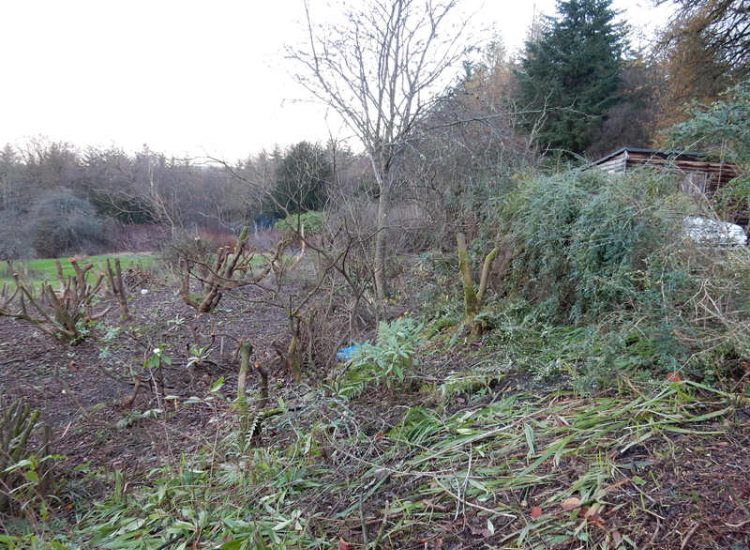 Garden clearance for Surrey and Hampshire - MDB Landscapes