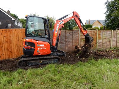 Instant Holly Hedging in Little Bookham, Surrey - Total transformation of an altered boundary line replacing rhododendrons and large conifer trees with Ilex aquifolium hedging. Garden plants and planting for Surrey and Hampshire - MDB Landscapes