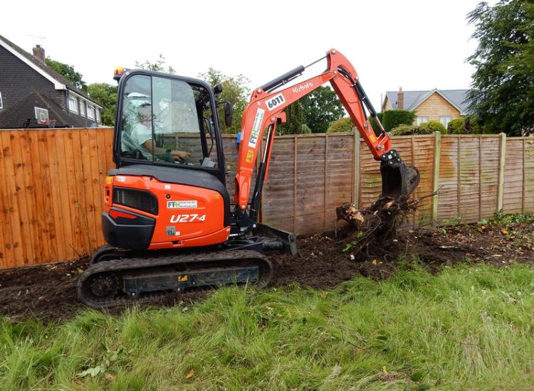 Instant Holly Hedging in Little Bookham, Surrey - Total transformation of an altered boundary line replacing rhododendrons and large conifer trees with Ilex aquifolium hedging. Garden plants and planting for Surrey and Hampshire - MDB Landscapes