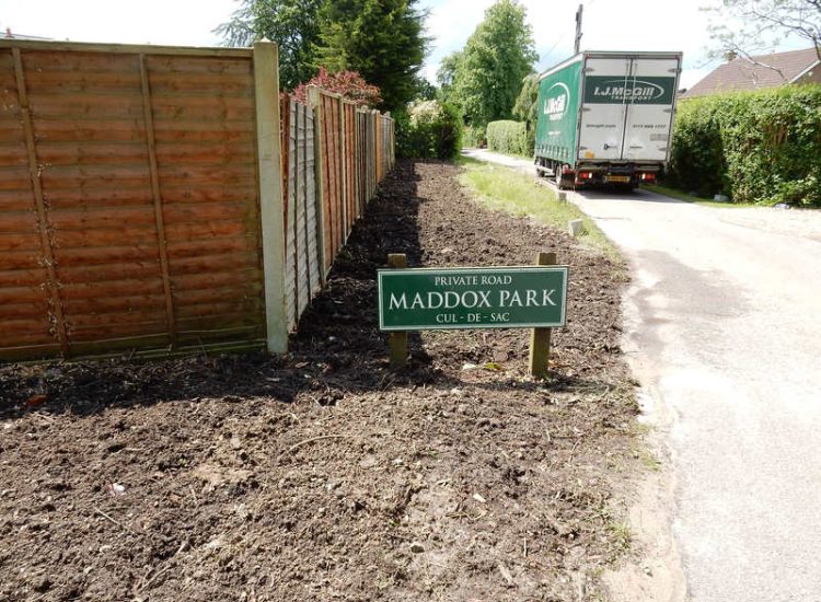 Instant Holly Hedging in Little Bookham, Surrey - Total transformation of an altered boundary line replacing rhododendrons and large conifer trees with Ilex aquifolium hedging. Garden plants and planting for Surrey and Hampshire - MDB Landscapes
