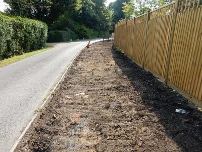 Instant Holly Hedging in Little Bookham, Surrey - Total transformation of an altered boundary line replacing rhododendrons and large conifer trees with Ilex aquifolium hedging. Garden plants and planting for Surrey and Hampshire - MDB Landscapes