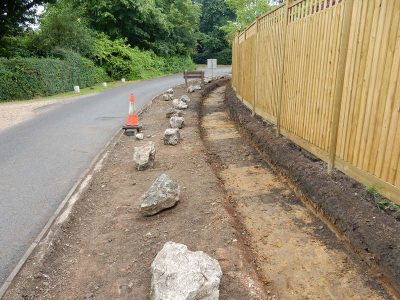 Instant Holly Hedging in Little Bookham, Surrey - Total transformation of an altered boundary line replacing rhododendrons and large conifer trees with Ilex aquifolium hedging. Garden plants and planting for Surrey and Hampshire - MDB Landscapes