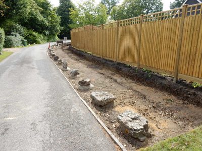 Instant Holly Hedging in Little Bookham, Surrey - Total transformation of an altered boundary line replacing rhododendrons and large conifer trees with Ilex aquifolium hedging. Garden plants and planting for Surrey and Hampshire - MDB Landscapes