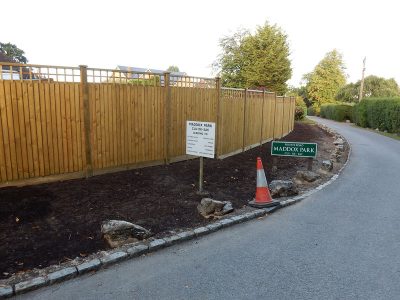 Instant Holly Hedging in Little Bookham, Surrey - Total transformation of an altered boundary line replacing rhododendrons and large conifer trees with Ilex aquifolium hedging. Garden plants and planting for Surrey and Hampshire - MDB Landscapes