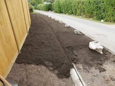Instant Holly Hedging in Little Bookham, Surrey - Total transformation of an altered boundary line replacing rhododendrons and large conifer trees with Ilex aquifolium hedging. Garden plants and planting for Surrey and Hampshire - MDB Landscapes