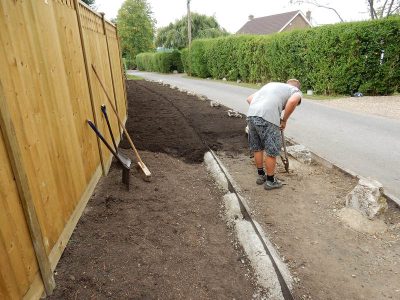 Instant Holly Hedging in Little Bookham, Surrey - Total transformation of an altered boundary line replacing rhododendrons and large conifer trees with Ilex aquifolium hedging. Garden plants and planting for Surrey and Hampshire - MDB Landscapes