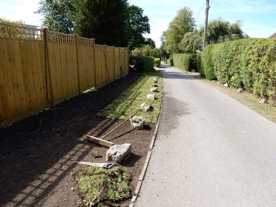Instant Holly Hedging in Little Bookham, Surrey - Total transformation of an altered boundary line replacing rhododendrons and large conifer trees with Ilex aquifolium hedging. Garden plants and planting for Surrey and Hampshire - MDB Landscapes