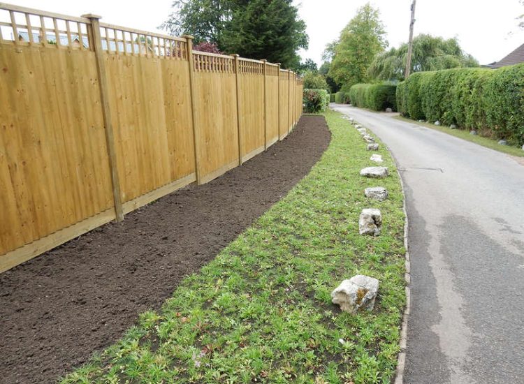 Instant Holly Hedging in Little Bookham, Surrey - Total transformation of an altered boundary line replacing rhododendrons and large conifer trees with Ilex aquifolium hedging. Garden plants and planting for Surrey and Hampshire - MDB Landscapes