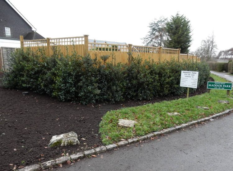 Garden plants and planting for Surrey and Hampshire - MDB Landscapes