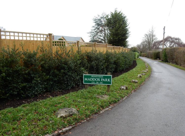 Garden plants and planting for Surrey and Hampshire - MDB Landscapes