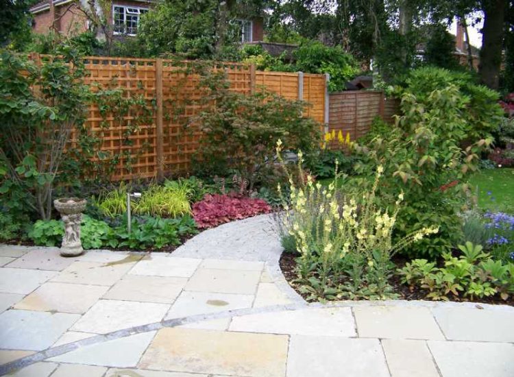 Planting in Fleet, Hampshire - Semi mature shrubs, herbaceous planting, climbing plants and ground cover. Garden plants and planting for Surrey and Hampshire - MDB Landscapes