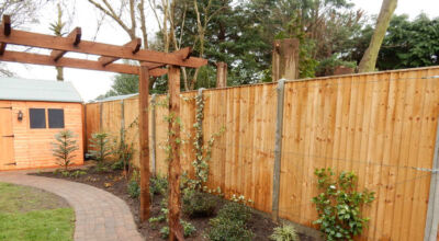 Planting in Fleet, Hampshire - A small planting scheme to fill a previously landscaped garden incorporating both shade and sun loving plants. Garden plants and planting for Surrey and Hampshire - MDB Landscapes