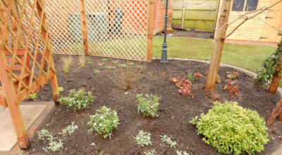 Planting in Fleet, Hampshire - A small planting scheme to fill a previously landscaped garden incorporating both shade and sun loving plants. Garden plants and planting for Surrey and Hampshire - MDB Landscapes