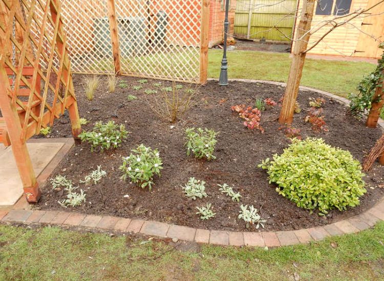 Planting in Fleet, Hampshire - A small planting scheme to fill a previously landscaped garden incorporating both shade and sun loving plants. Garden plants and planting for Surrey and Hampshire - MDB Landscapes