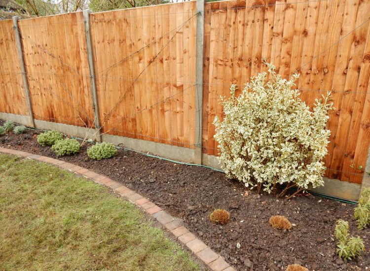 Garden plants and planting for Surrey and Hampshire - MDB Landscapes