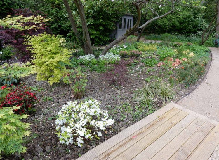 Garden Planting in Guildford, Surrey - An over grown wooded area transformed with semi shade and shade tolarant herbaceous plants, shrubs and ornamental trees. Garden plants and planting for Surrey and Hampshire - MDB Landscapes