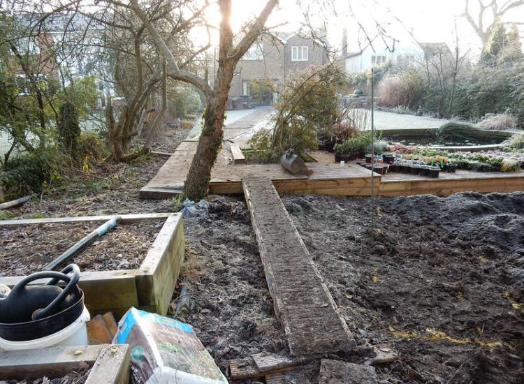 Garden Planting in Guildford, Surrey - An over grown wooded area transformed with semi shade and shade tolarant herbaceous plants, shrubs and ornamental trees. Garden plants and planting for Surrey and Hampshire - MDB Landscapes