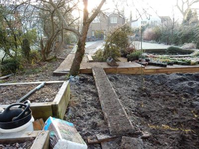 Garden Planting in Guildford, Surrey - An over grown wooded area transformed with semi shade and shade tolarant herbaceous plants, shrubs and ornamental trees. Garden plants and planting for Surrey and Hampshire - MDB Landscapes
