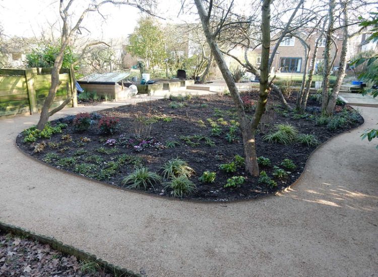 Garden Planting in Guildford, Surrey - An over grown wooded area transformed with semi shade and shade tolarant herbaceous plants, shrubs and ornamental trees. Garden plants and planting for Surrey and Hampshire - MDB Landscapes