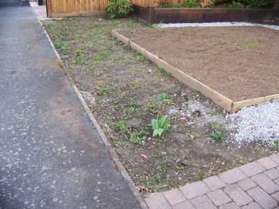 Laurel Hedging and Planting in Woking, Surrey - Instant laurel hedging, grasses and summer flowering shrubs. Garden plants and planting for Surrey and Hampshire - MDB Landscapes