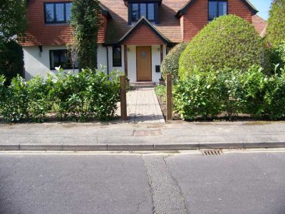 Laurel Hedging and Planting in Woking, Surrey - Instant laurel hedging, grasses and summer flowering shrubs. Garden plants and planting for Surrey and Hampshire - MDB Landscapes