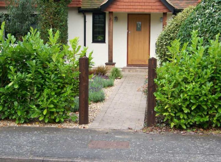 Garden plants and planting for Surrey and Hampshire - MDB Landscapes