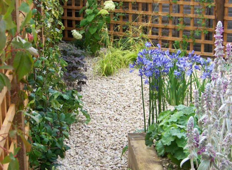 Planting in Ash Vale, Hampshire - Sun loving and shade tolerant herbaceous planting, shrubs and climbing plants. Garden plants and planting for Surrey and Hampshire - MDB Landscapes