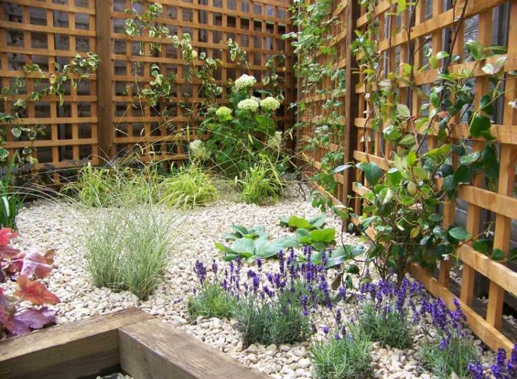 Planting in Ash Vale, Hampshire - Sun loving and shade tolerant herbaceous planting, shrubs and climbing plants. Garden plants and planting for Surrey and Hampshire - MDB Landscapes