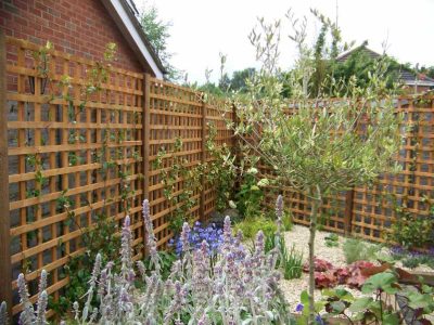 Planting in Ash Vale, Hampshire - Sun loving and shade tolerant herbaceous planting, shrubs and climbing plants. Garden plants and planting for Surrey and Hampshire - MDB Landscapes