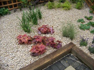 Planting in Ash Vale, Hampshire - Sun loving and shade tolerant herbaceous planting, shrubs and climbing plants. Garden plants and planting for Surrey and Hampshire - MDB Landscapes