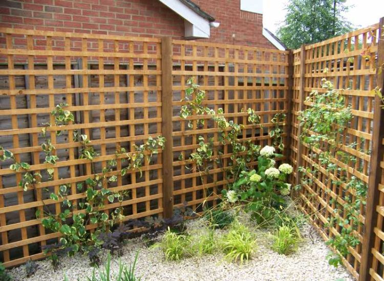 Garden plants and planting for Surrey and Hampshire - MDB Landscapes