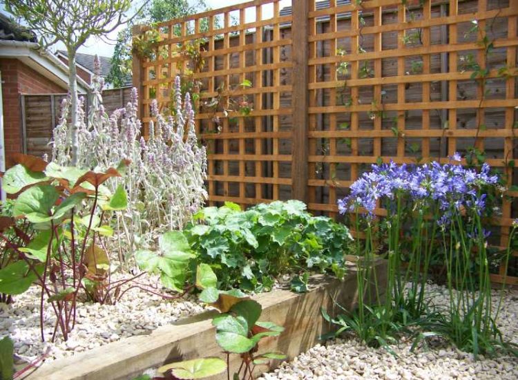 Garden plants and planting for Surrey and Hampshire - MDB Landscapes
