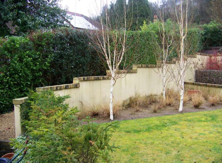 Trellis Work in Godalming, Surrey - Large surface areas of retaining wall visually altered with the use trellis panels and mirrors. Garden Fencing - MDB Landscapes
