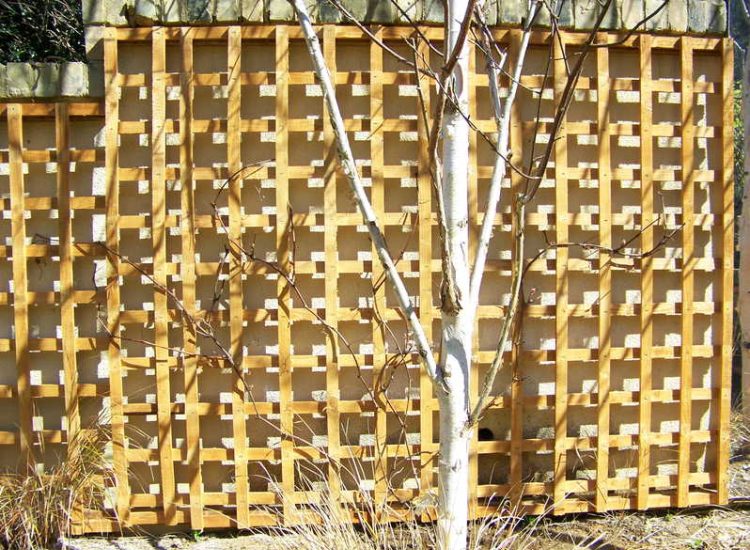 Trellis Work in Godalming, Surrey - Large surface areas of retaining wall visually altered with the use trellis panels and mirrors. Garden Fencing - MDB Landscapes