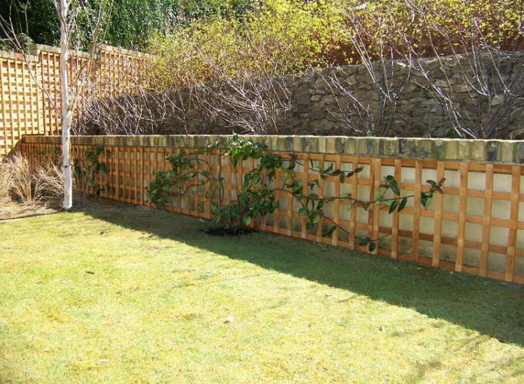 Trellis Work in Godalming, Surrey - Large surface areas of retaining wall visually altered with the use trellis panels and mirrors. Garden Fencing - MDB Landscapes