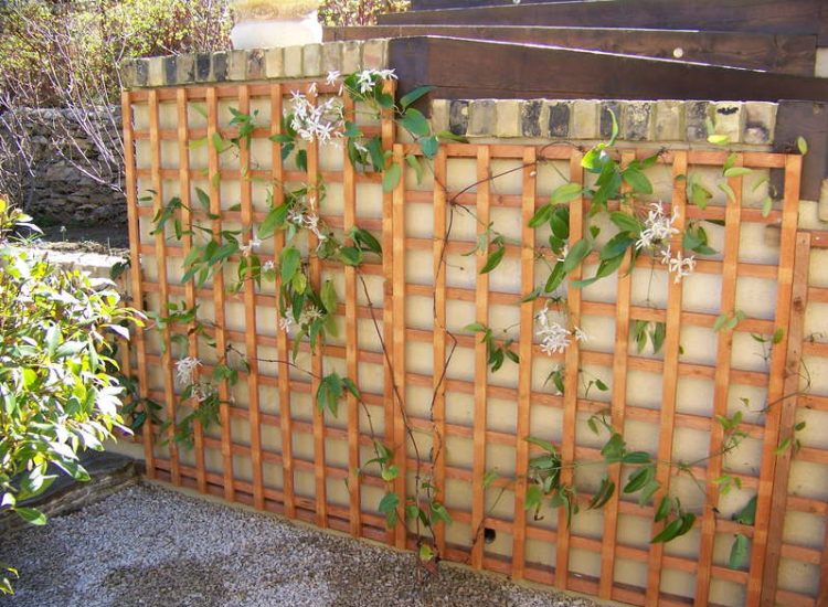 Trellis Work in Godalming, Surrey - Large surface areas of retaining wall visually altered with the use trellis panels and mirrors. Garden Fencing - MDB Landscapes