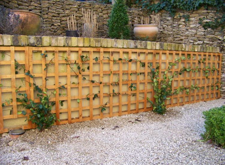 Trellis Work in Godalming, Surrey - Large surface areas of retaining wall visually altered with the use trellis panels and mirrors. Garden Fencing - MDB Landscapes