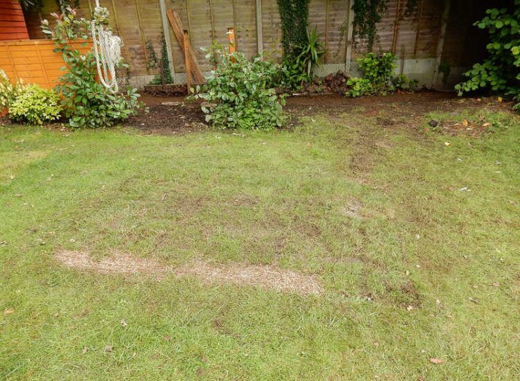 Garden Drainage Farnham, Surrey - A constant flow of in ground and over ground water was diverted to an existing culvert within the rear garden. Garden Drainage - MDB Landscapes