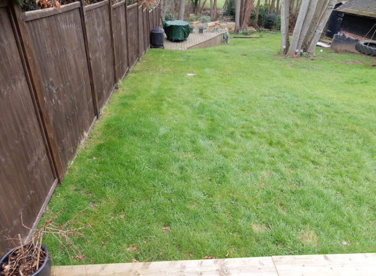 Garden and Lawn Drainage Bramley, surrey - Both top and lower areas of this garden required drainage to prevent constantly boggy areas of lawn. Garden Drainage - MDB Landscapes