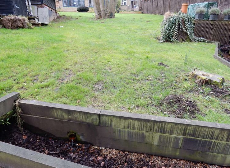 Garden and Lawn Drainage Bramley, surrey - Both top and lower areas of this garden required drainage to prevent constantly boggy areas of lawn. Garden Drainage - MDB Landscapes