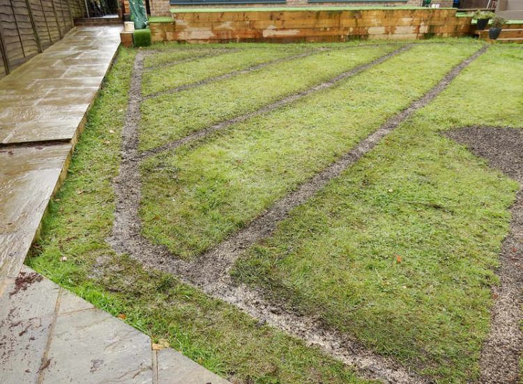 Garden Drainage - MDB Landscapes
