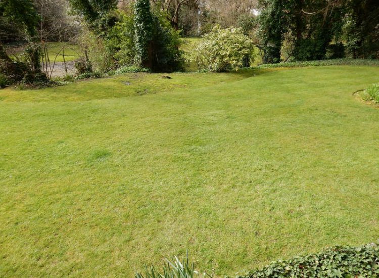 Residential Flats Lawn Drainage London, NW6 - Communal garden areas were constantly flooding leaving unusable and unmanageable saturated lawns. The gardens here were in two levels with both lawns requiring drainage. Extensive land drainage was installed with the oulet point for the drainage within the lower grounds of the garden. Garden Drainage - MDB Landscapes