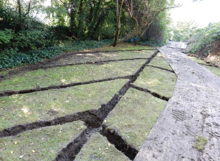 Residential Flats Lawn Drainage London, NW6 - Communal garden areas were constantly flooding leaving unusable and unmanageable saturated lawns. The gardens here were in two levels with both lawns requiring drainage. Extensive land drainage was installed with the oulet point for the drainage within the lower grounds of the garden. Garden Drainage - MDB Landscapes